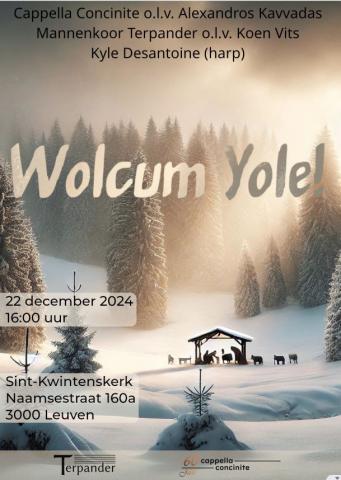 Affiche kerstconcert